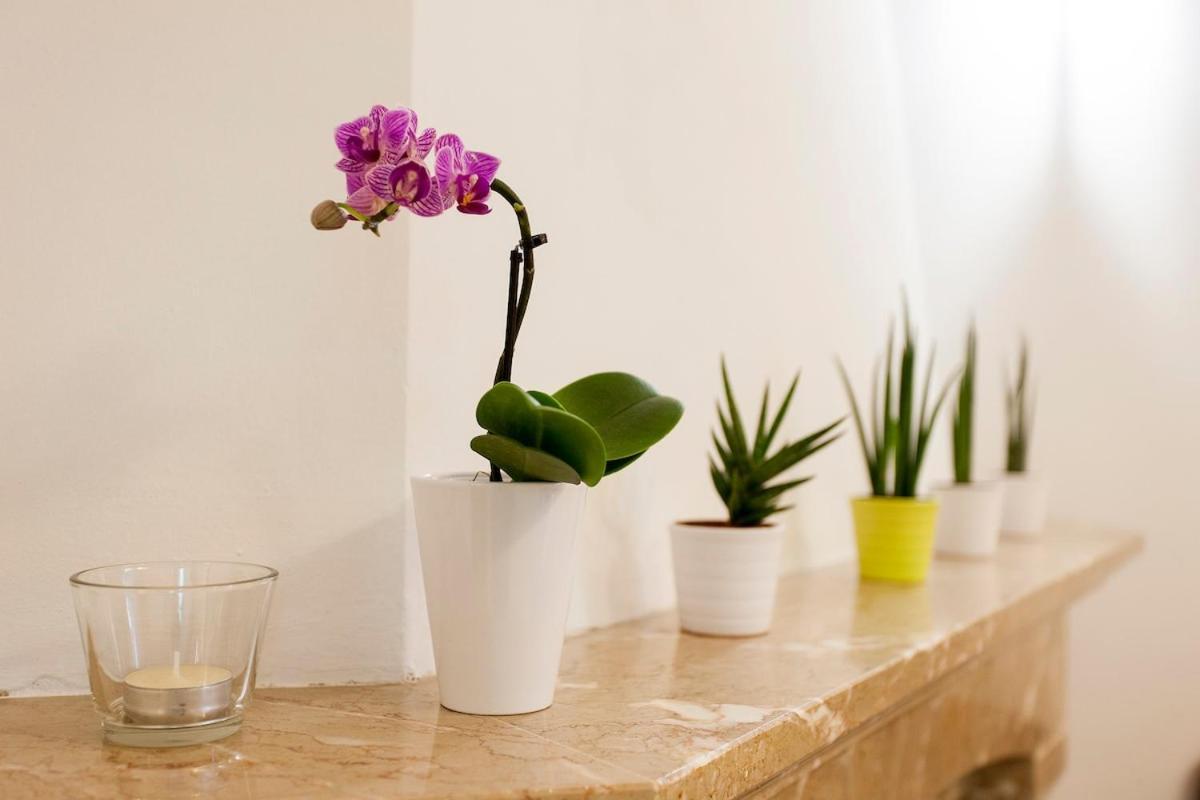 Ginjinha House - 4 Rooms - Bairro Alto - With Ac! リスボン エクステリア 写真